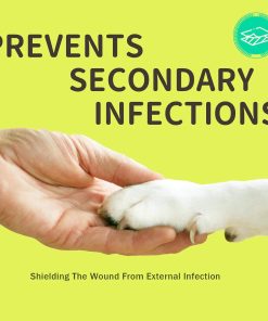 PawSafe csúszásmentes zoknik (20 darab)
